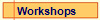  Workshops
