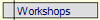  Workshops